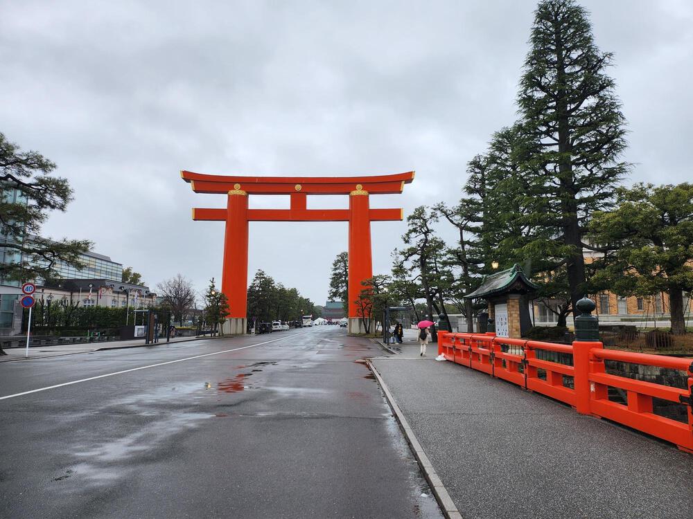 世界遺産「古都京都の文化財」を含む京都の名所を巡る約15kmの写真5