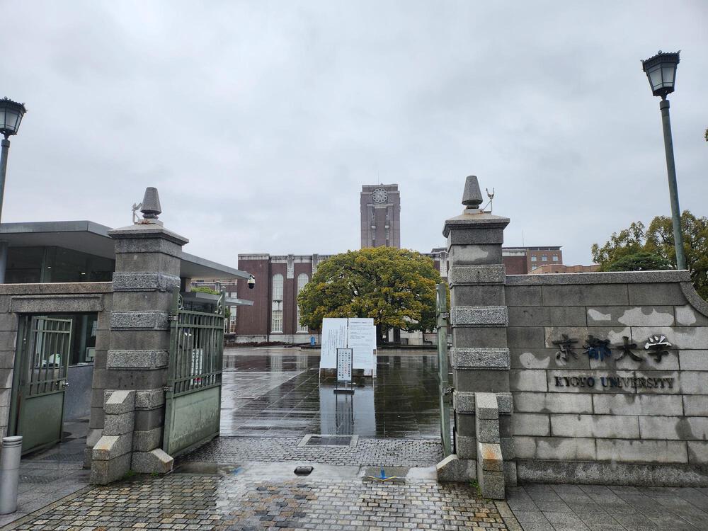 世界遺産「古都京都の文化財」を含む京都の名所を巡る約15kmの写真6