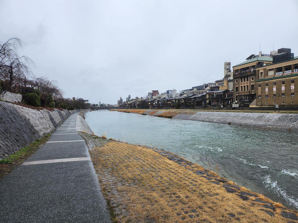 世界遺産「古都京都の文化財」を含む京都の名所を巡る約15kmの写真12