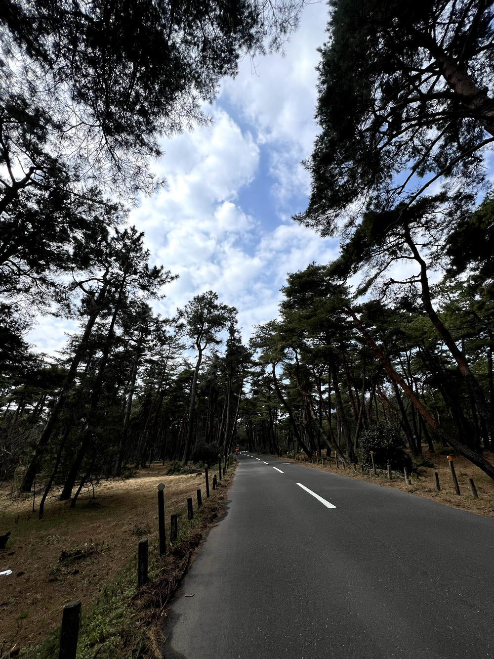 新幹線で旅ラン　敦賀10kmの写真5