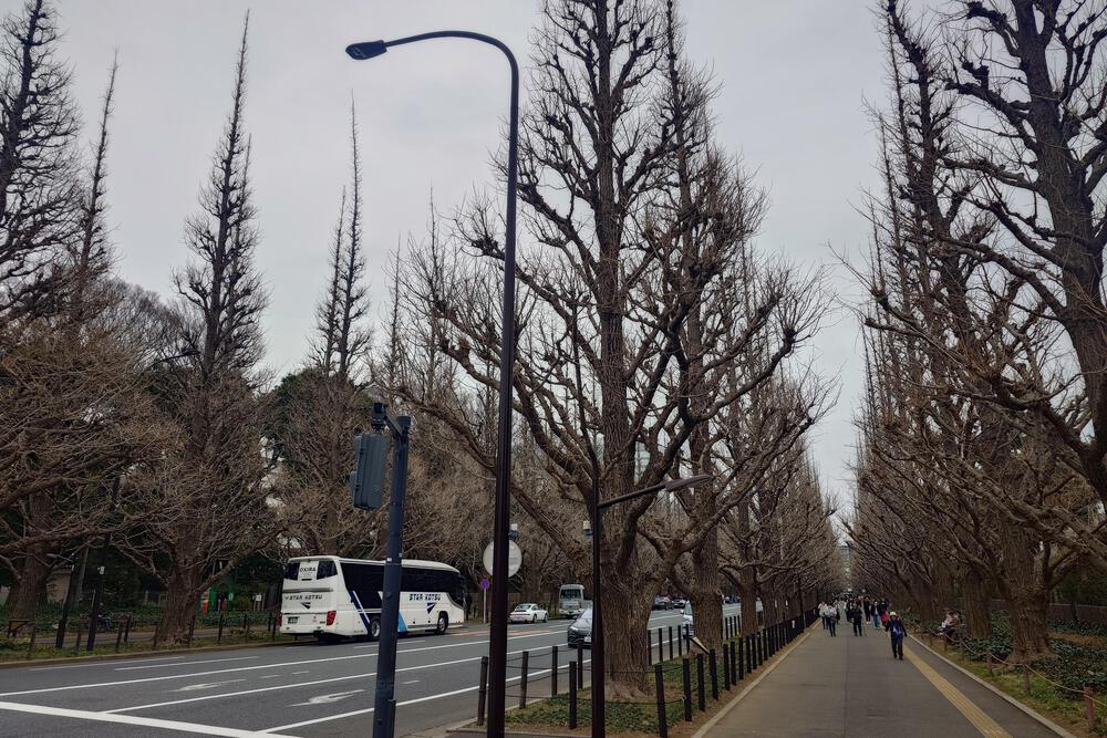 原宿駅から渋谷駅までのコースの写真12