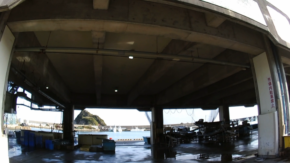 千葉県房総半島、安房鴨川の西側向け鴨川松島を巡る11キロのランイングの写真3