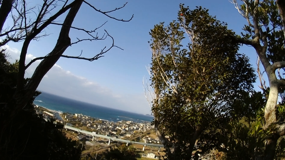 千葉県房総半島、安房鴨川東側向け「天津神明宮」を巡る12キロのランニングの写真7