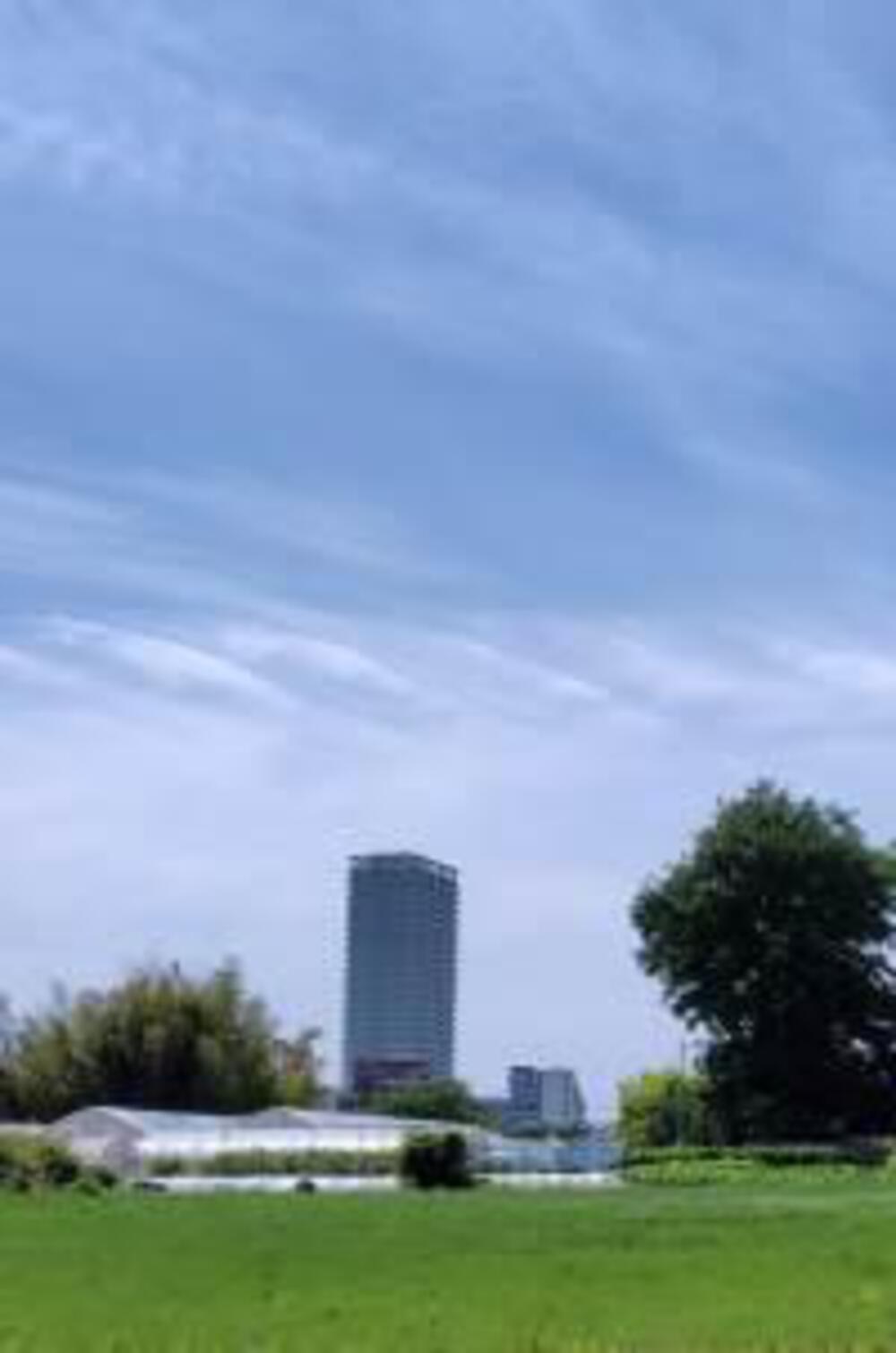 北山公園往復５ｋｍの写真3