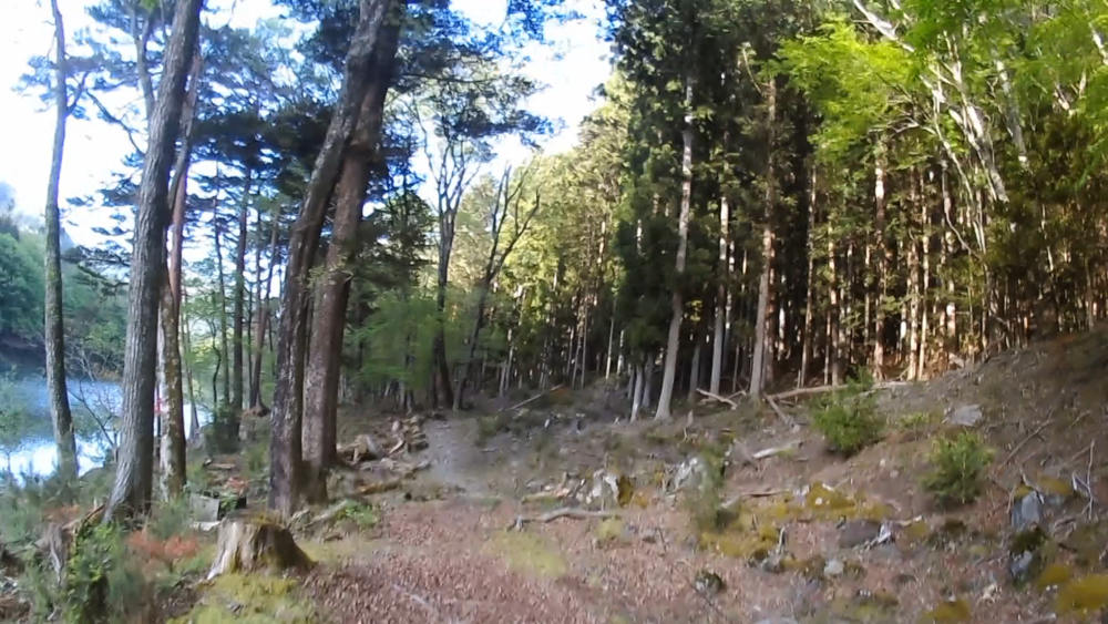 栃木県、日光国立公園鄙びた温泉街「川治温泉」～奇岩石の峡谷「龍王峡」遊歩道をランニングの写真5
