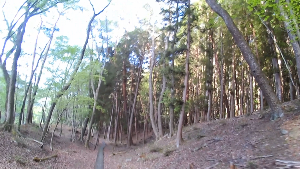 栃木県、日光国立公園鄙びた温泉街「川治温泉」～奇岩石の峡谷「龍王峡」遊歩道をランニングの写真7
