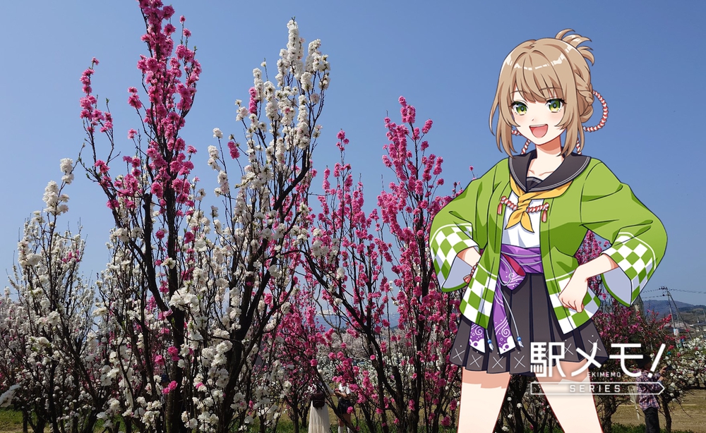 飯坂温泉駅周回コースの写真18