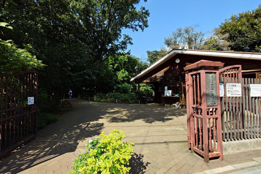 池袋駅周回コースの写真15