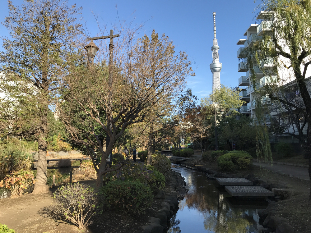 スカイツリーの真下を行くの写真4