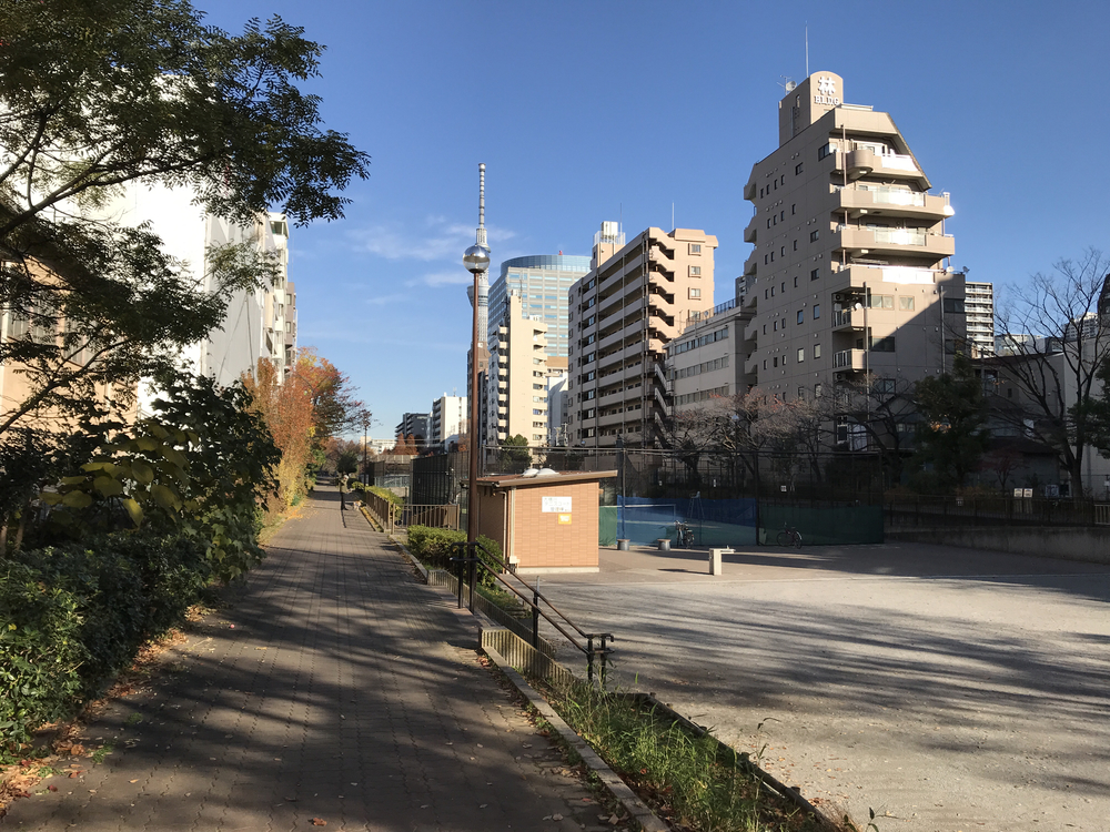 スカイツリーの真下を行くの写真5