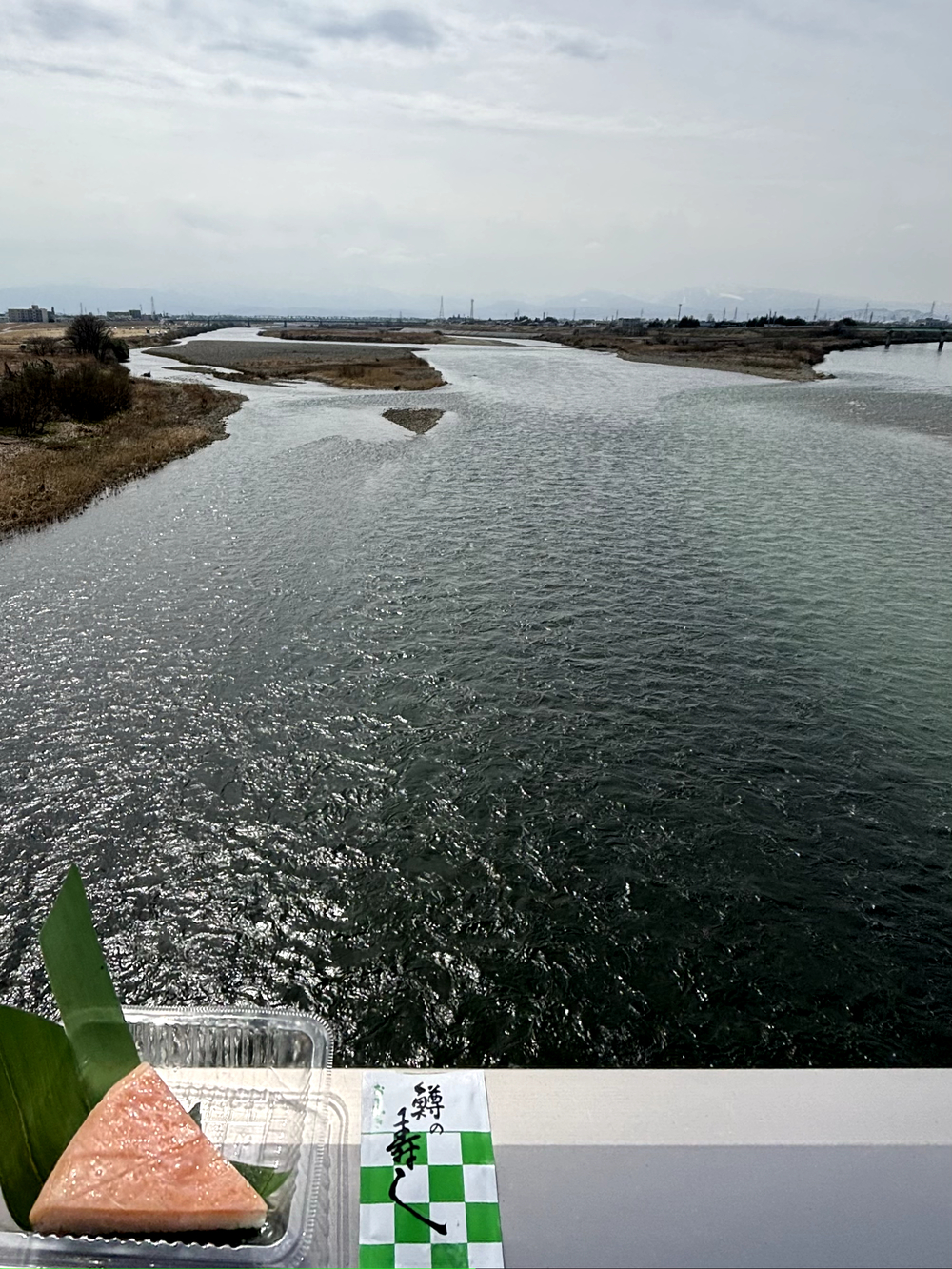 歌川広重と共にRUN 富山の写真3