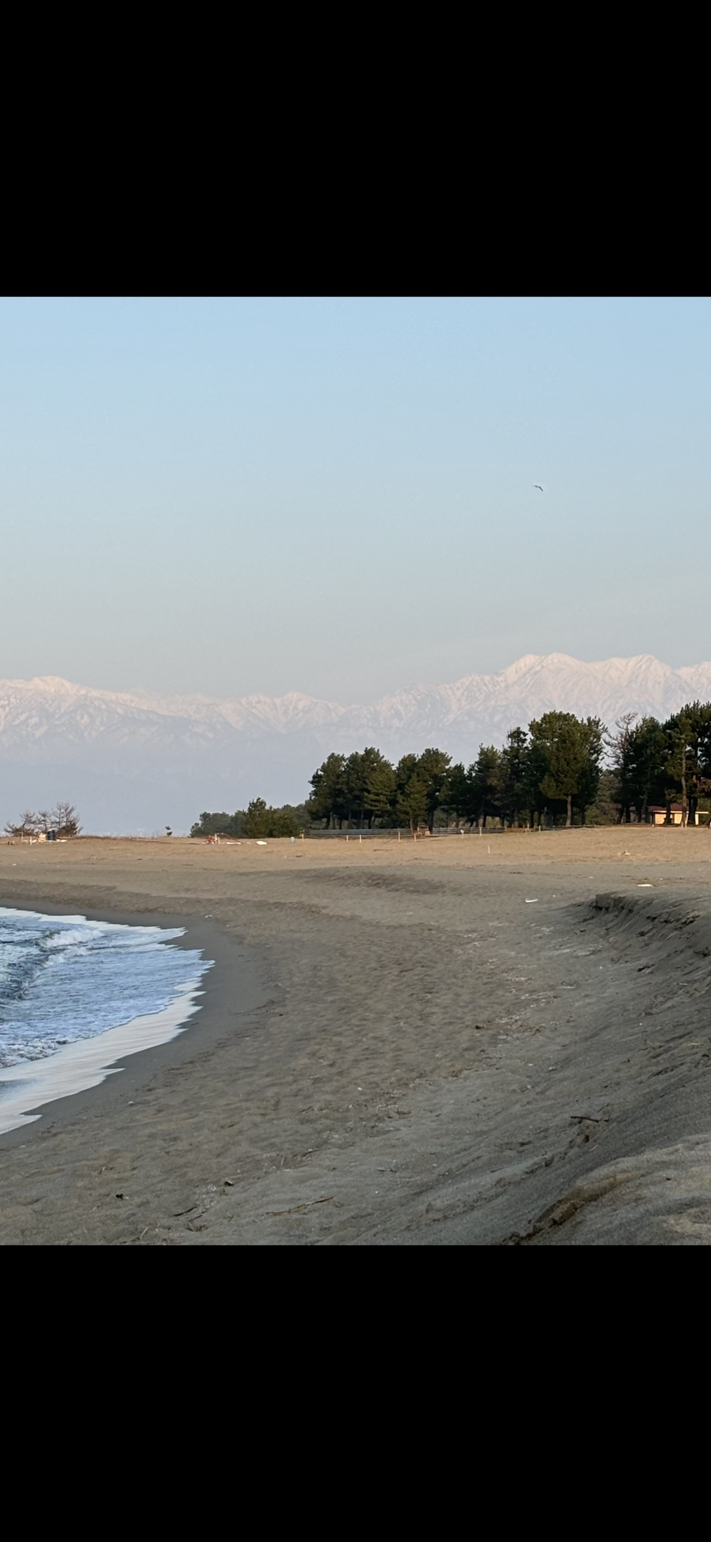 歌川広重と共にRUN 富山の写真7
