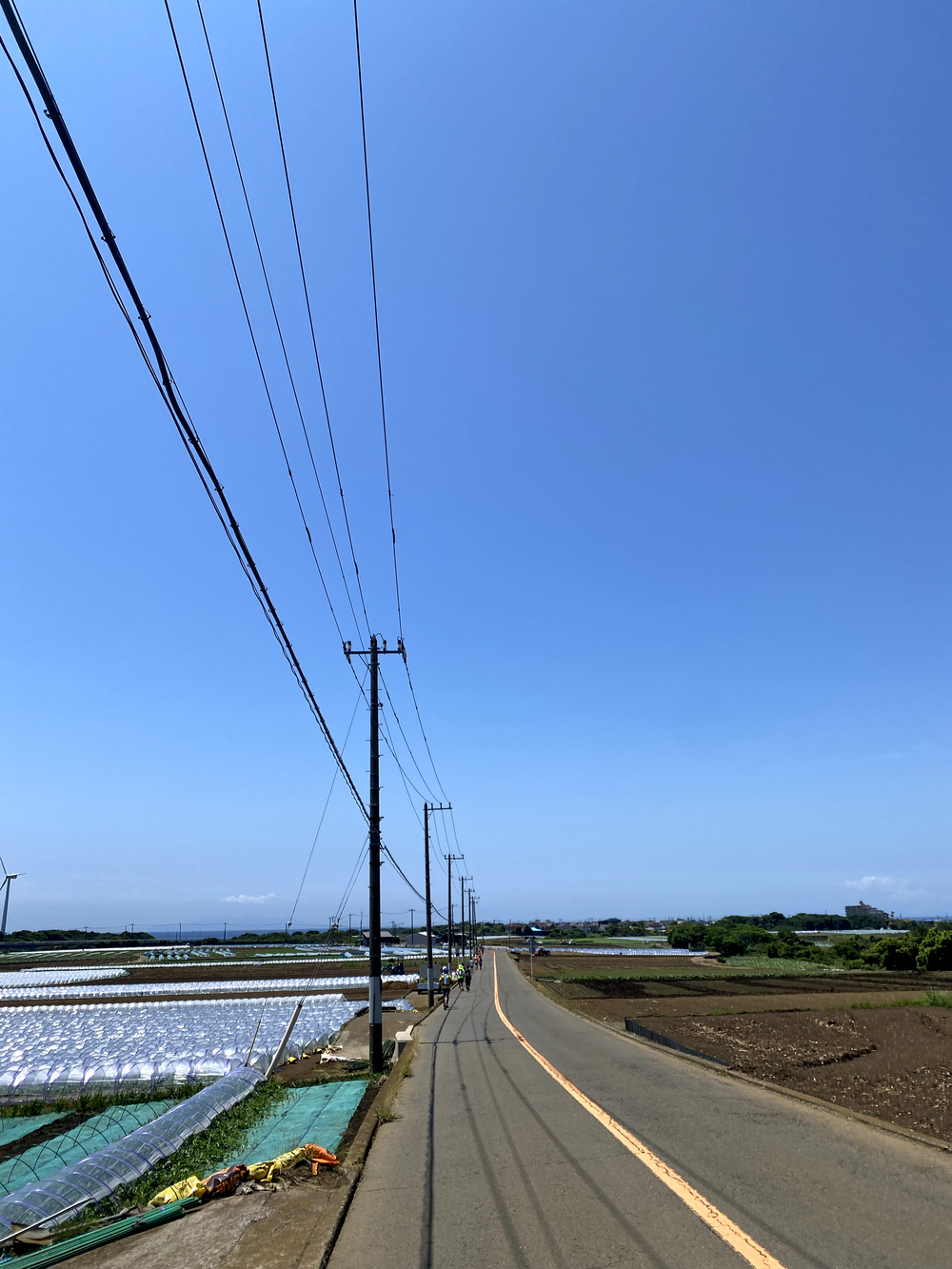 横須賀三浦みちくさ試走30kmの写真4