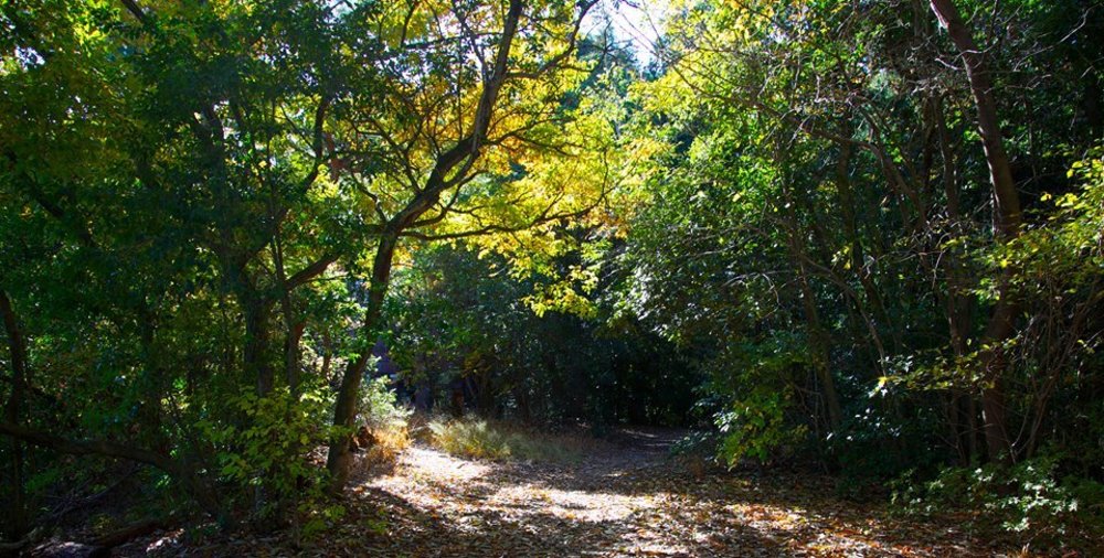 京都の新スポット・将軍塚青龍殿への道の写真4