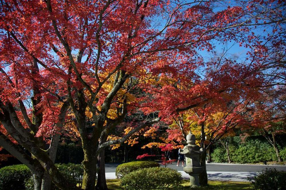 京都の新スポット・将軍塚青龍殿への道の写真7