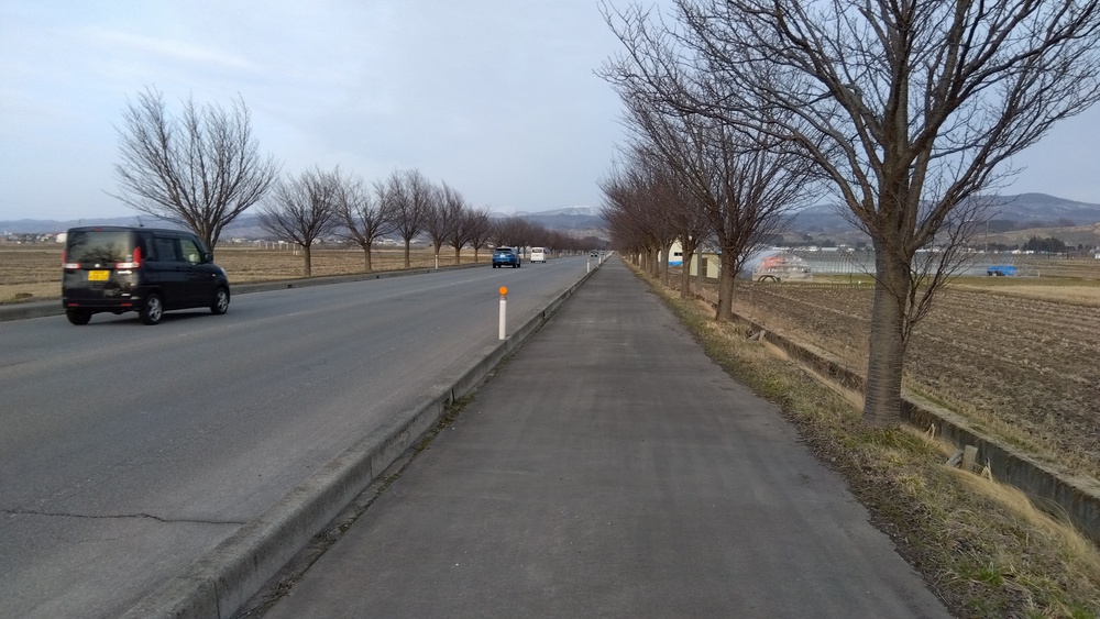 津軽平野 平坦コースの写真4