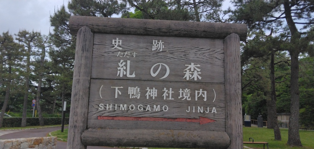 世界遺産早朝ぶらぶら【写真撮影日2025.5.19】の写真3