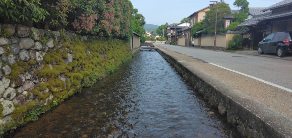 世界遺産早朝ぶらぶら【写真撮影日2025.5.19】の写真12