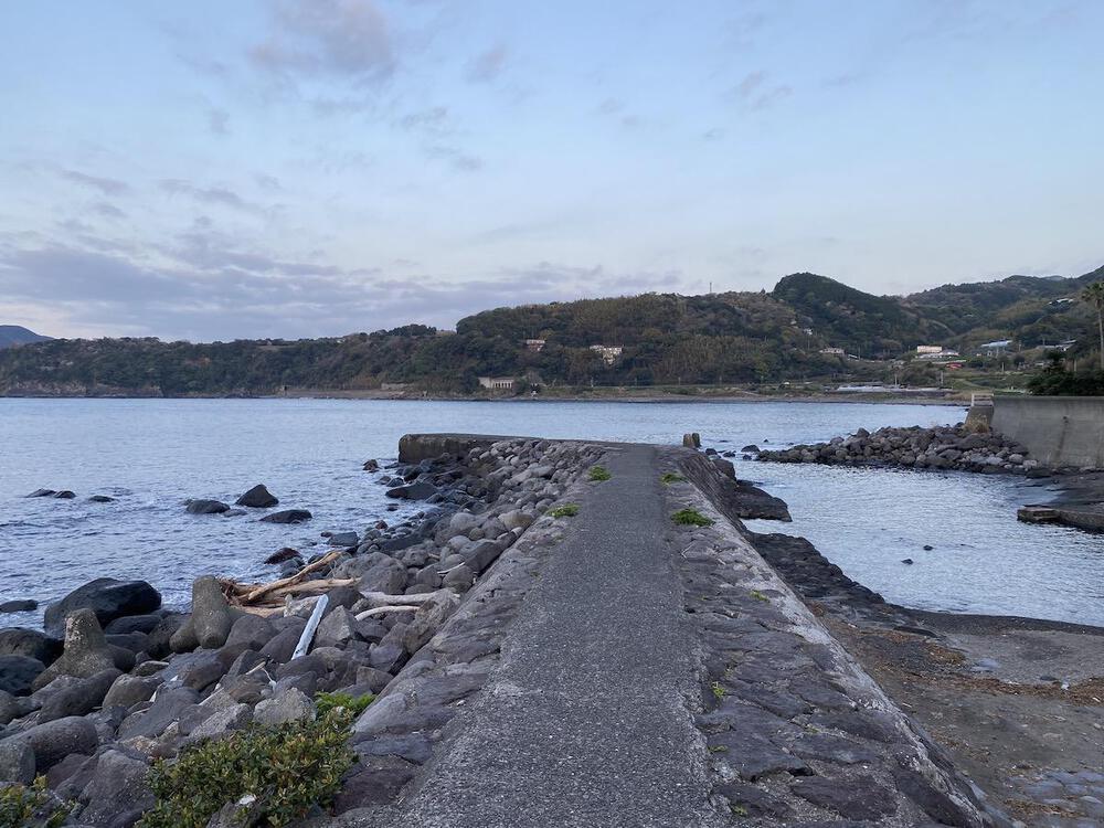 伊豆稲取を味わい尽くすシーサイドラン5km（一部キンメマラソンコース）の写真4