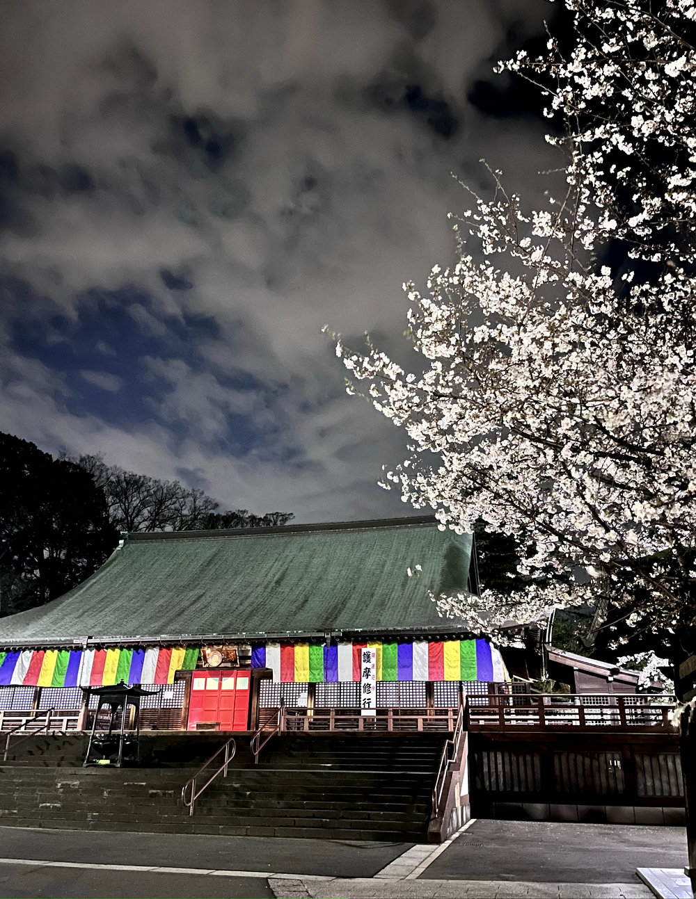 小江戸川越💫夜桜🌸ララ♪ランの写真9