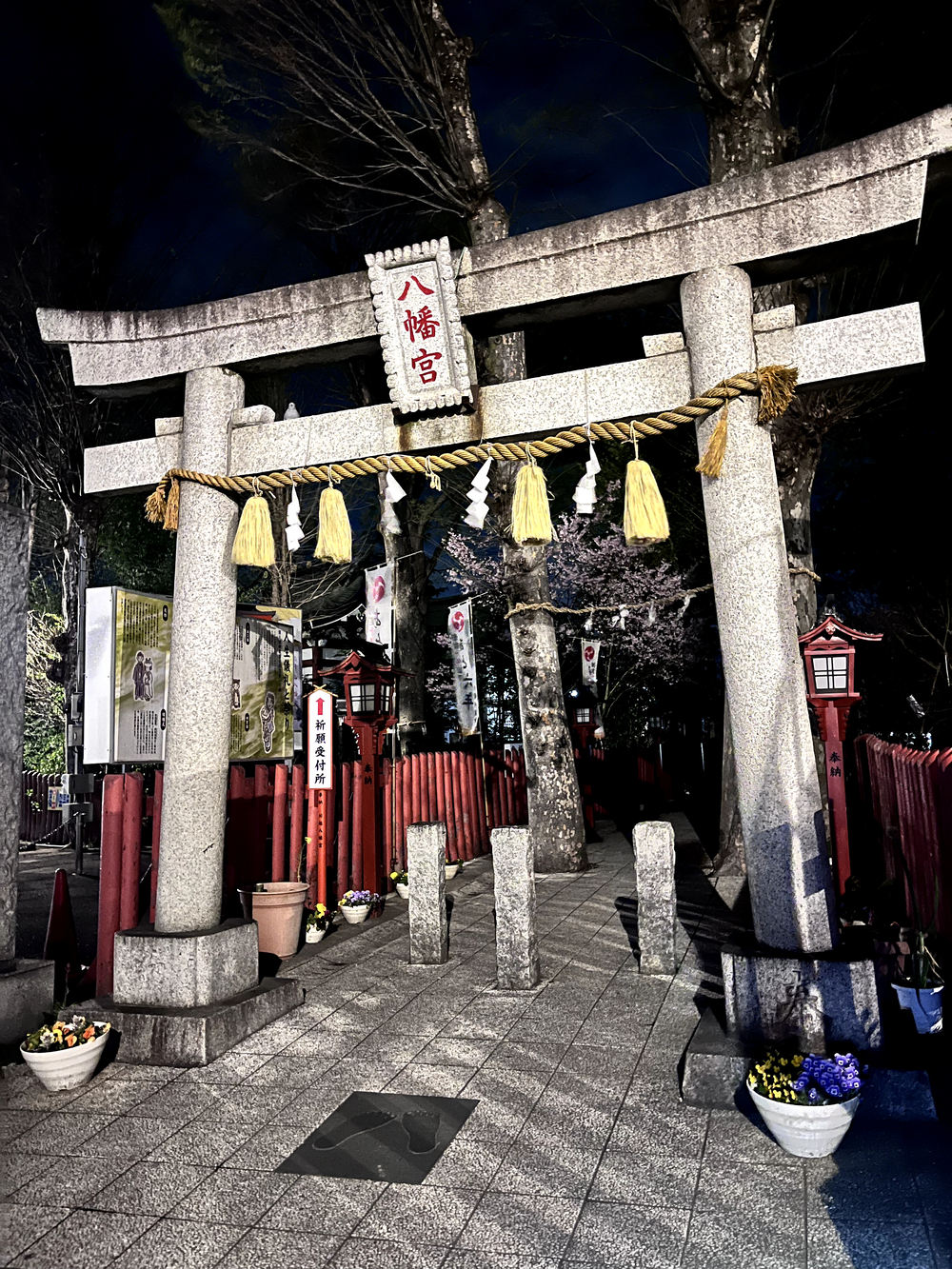 小江戸川越💫夜桜🌸ララ♪ランの写真10