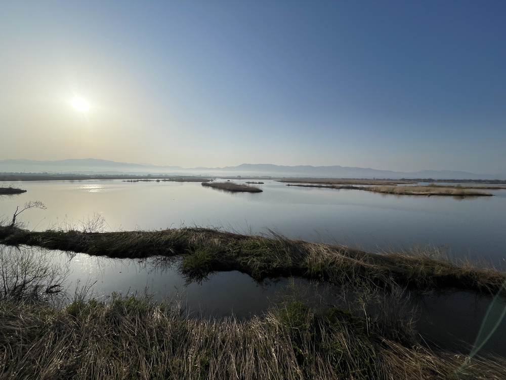 自然と共生する福島潟の息吹の写真3