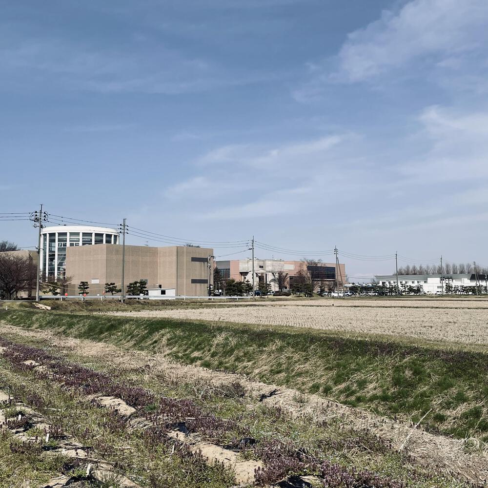 かぼちゃ電車に会いにジョグる10キロ弱の写真3