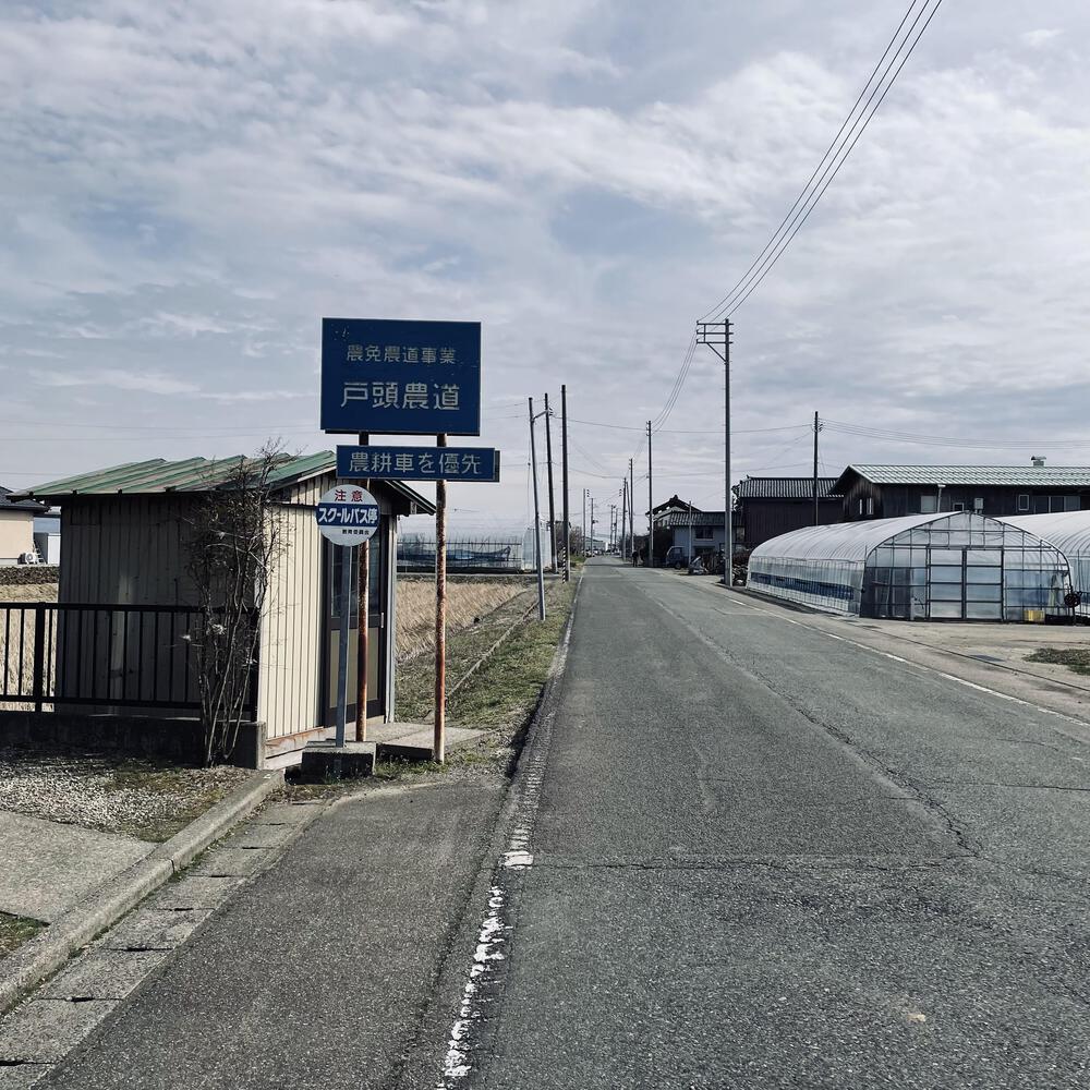 かぼちゃ電車に会いにジョグる10キロ弱の写真5