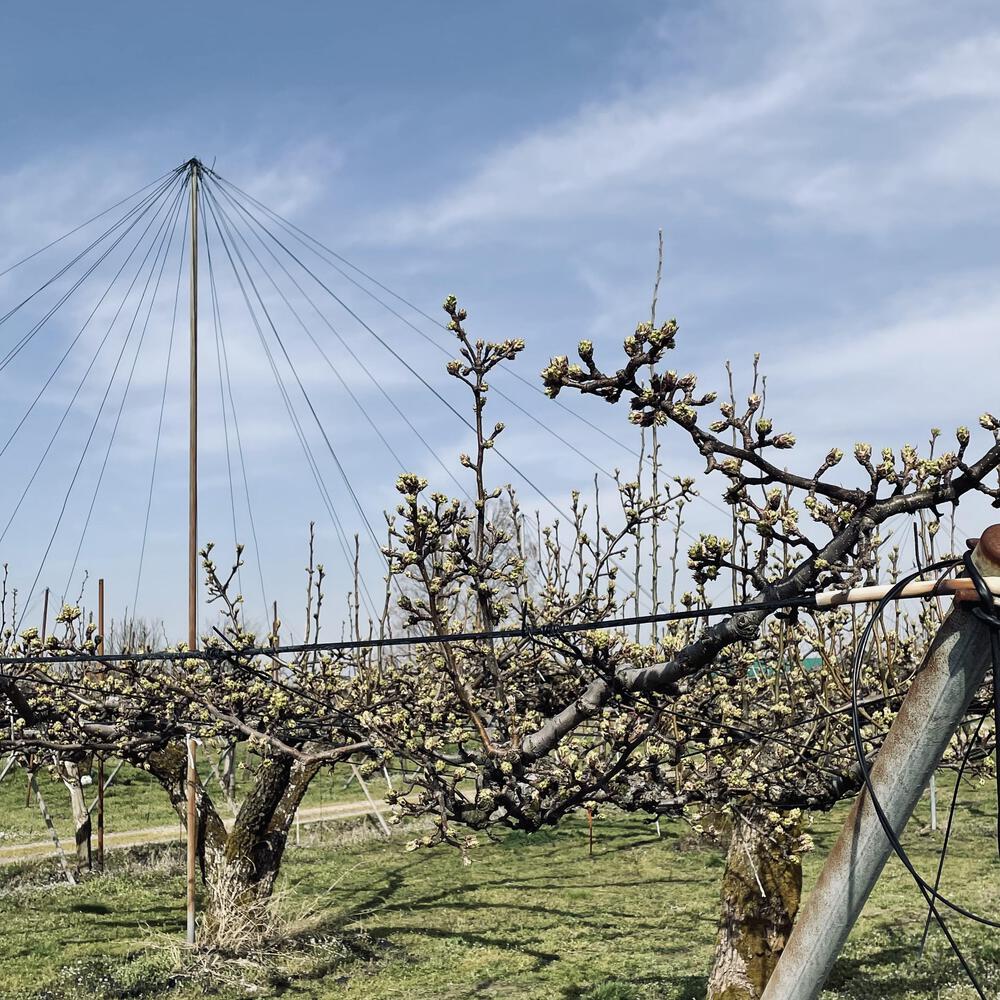 かぼちゃ電車に会いにジョグる10キロ弱の写真7