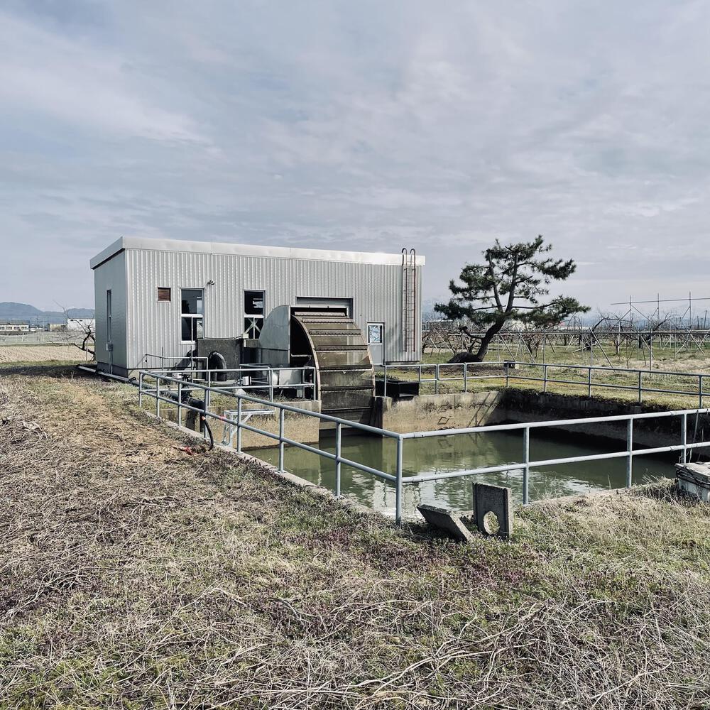 かぼちゃ電車に会いにジョグる10キロ弱の写真8