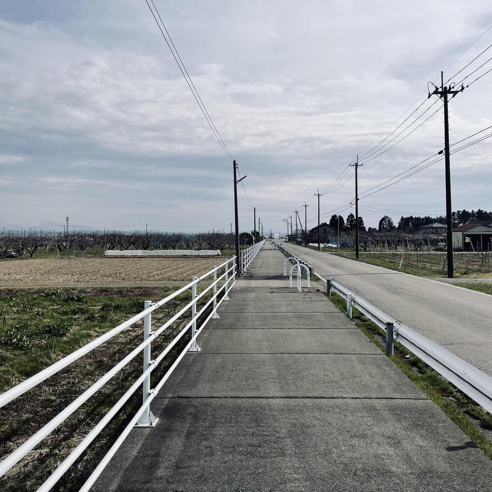 かぼちゃ電車に会いにジョグる10キロ弱の写真10