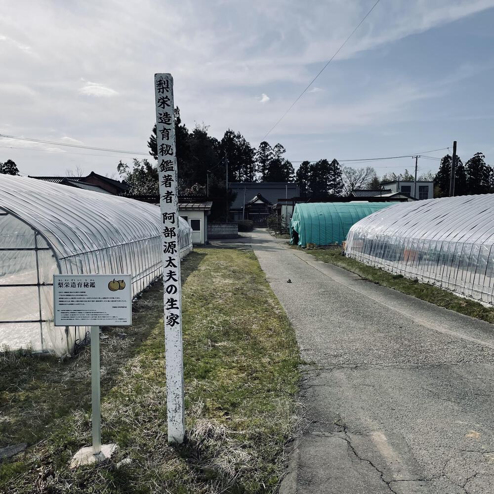 かぼちゃ電車に会いにジョグる10キロ弱の写真11