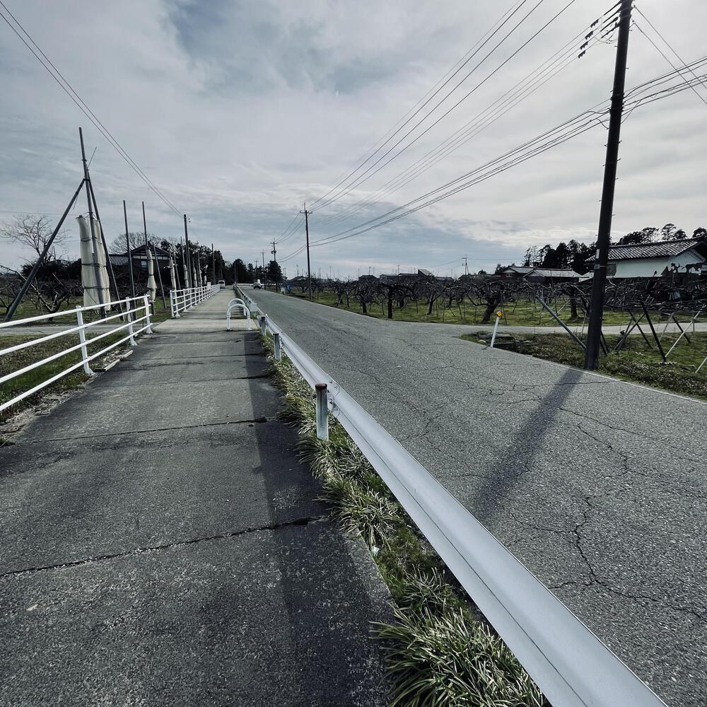 かぼちゃ電車に会いにジョグる10キロ弱の写真17
