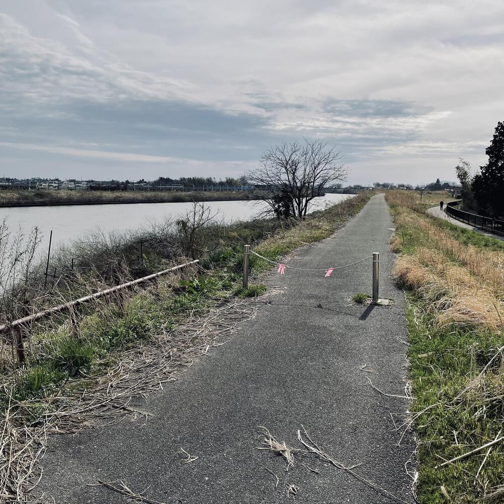 かぼちゃ電車に会いにジョグる10キロ弱の写真22