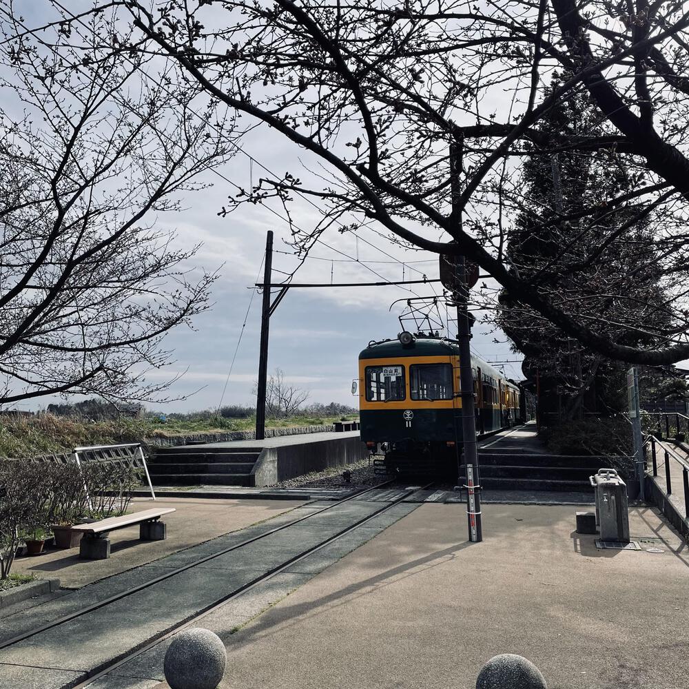 かぼちゃ電車に会いにジョグる10キロ弱の写真24