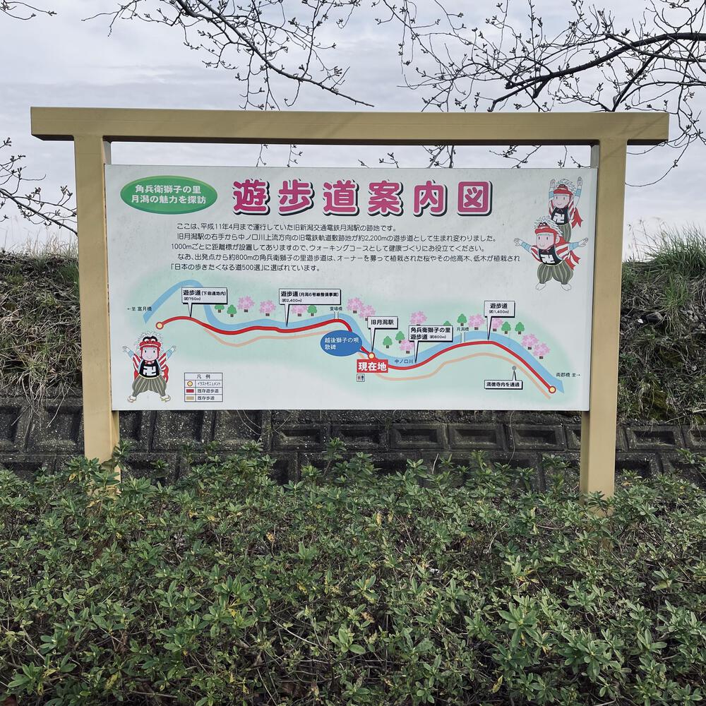 かぼちゃ電車に会いにジョグる10キロ弱の写真30