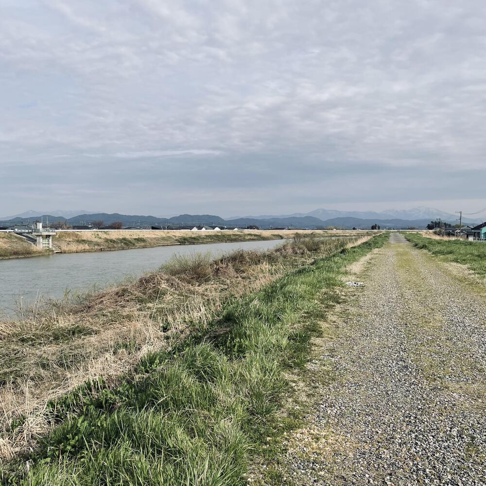 かぼちゃ電車に会いにジョグる10キロ弱の写真37