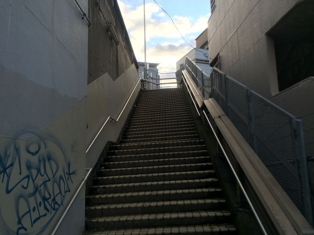 なにわの一級河川、淀川ランの写真5