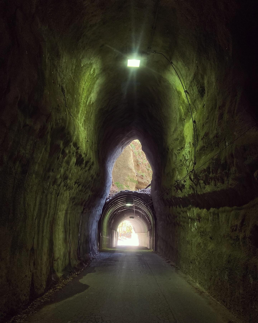 里山をゆるっとアドベンチャーの写真4