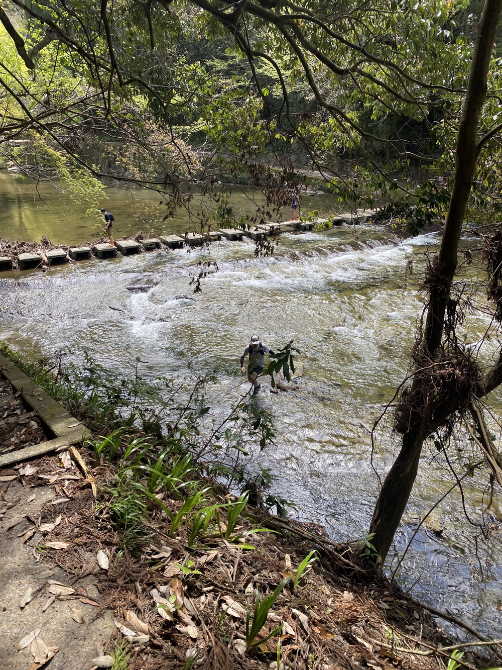 里山をゆるっとアドベンチャーの写真5