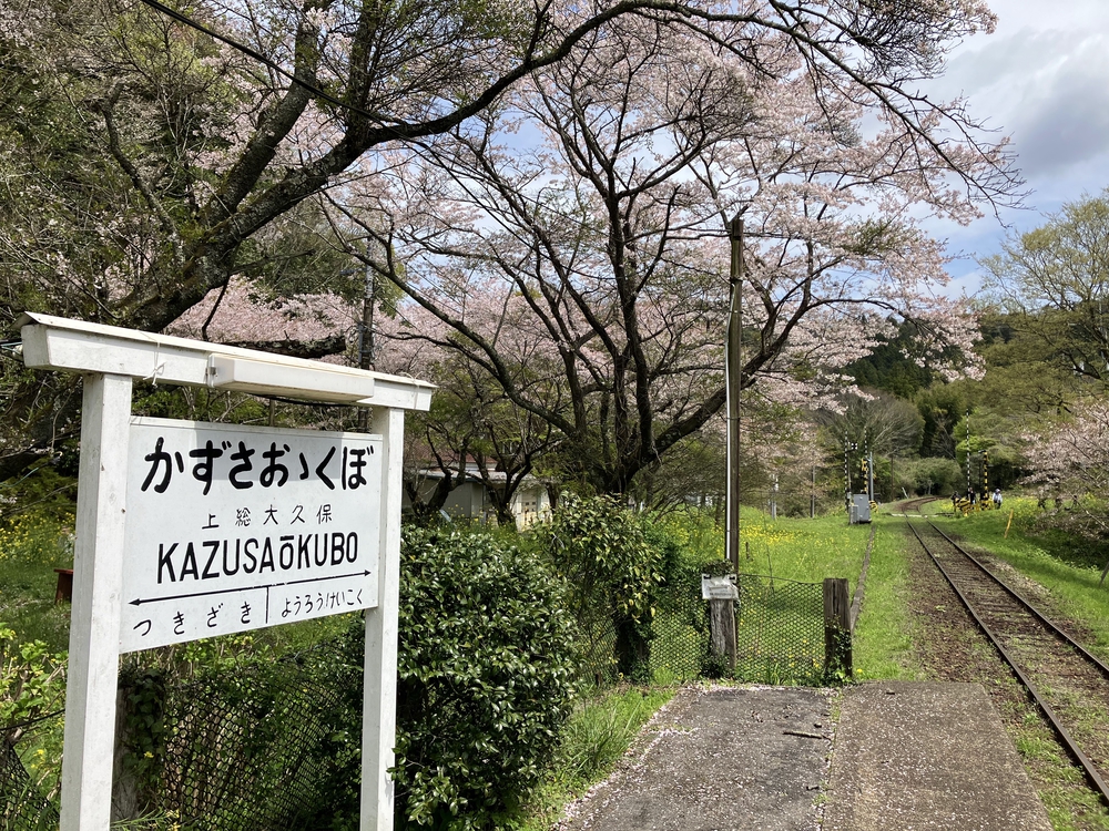里山をゆるっとアドベンチャーの写真6