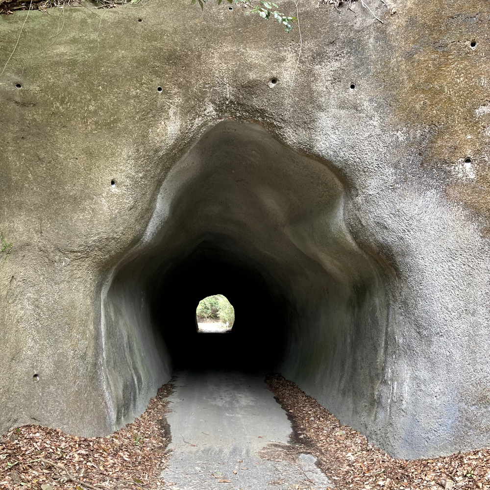 里山をゆるっとアドベンチャーの写真7