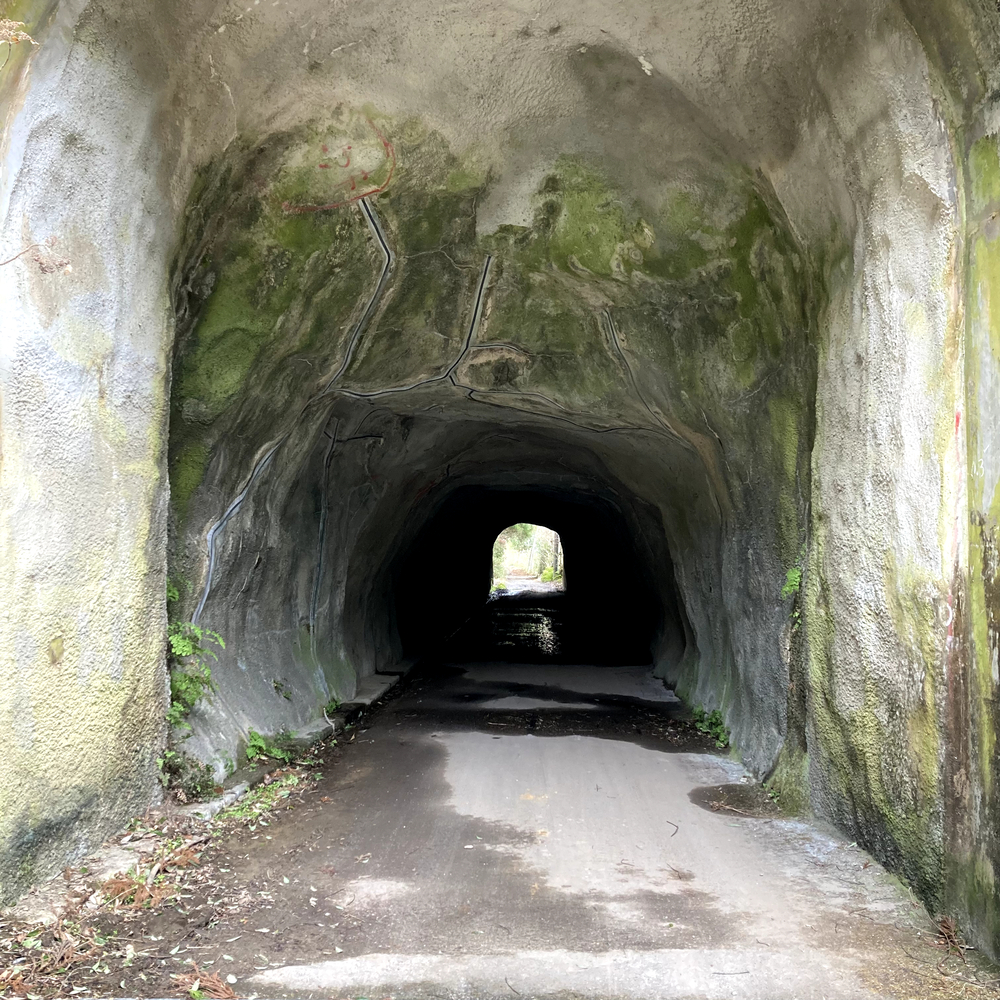 里山をゆるっとアドベンチャーの写真8