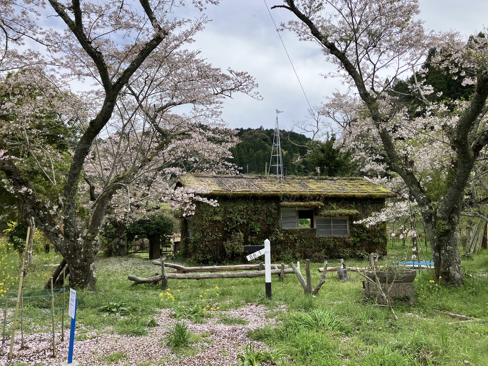 里山をゆるっとアドベンチャーの写真9