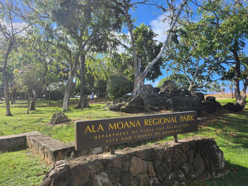 「カメハメハ大王像」や「出雲大社」などの観光スポットを巡る約12kmのホノルルジョギングの写真7