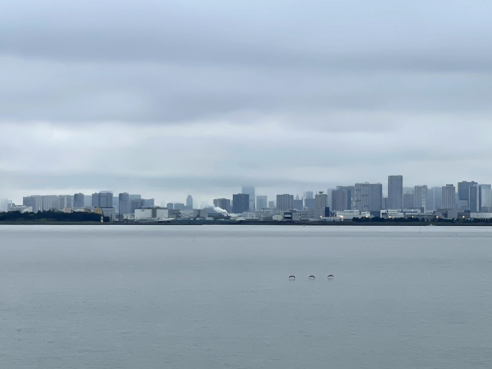 東京ディズニーリゾート1周ラン（5.7km）の写真6