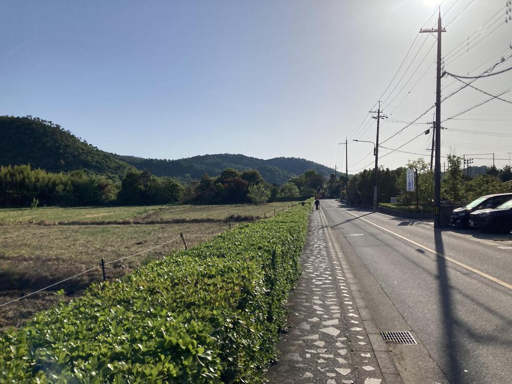 早起きは三文の徳♪京都きぬかけの路（嵐山～金閣寺～北野白梅町）の写真5