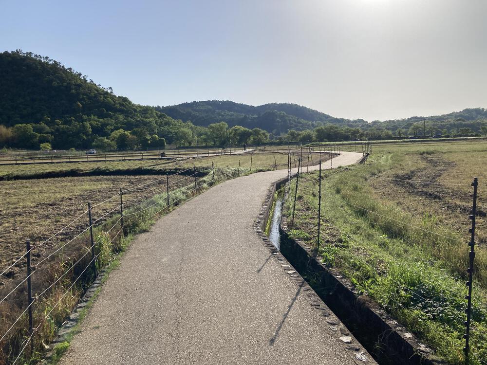 早起きは三文の徳♪京都きぬかけの路（嵐山～金閣寺～北野白梅町）の写真6