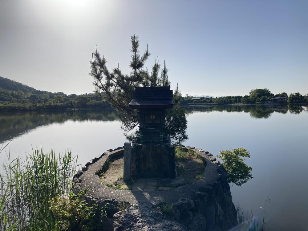 早起きは三文の徳♪京都きぬかけの路（嵐山～金閣寺～北野白梅町）の写真7