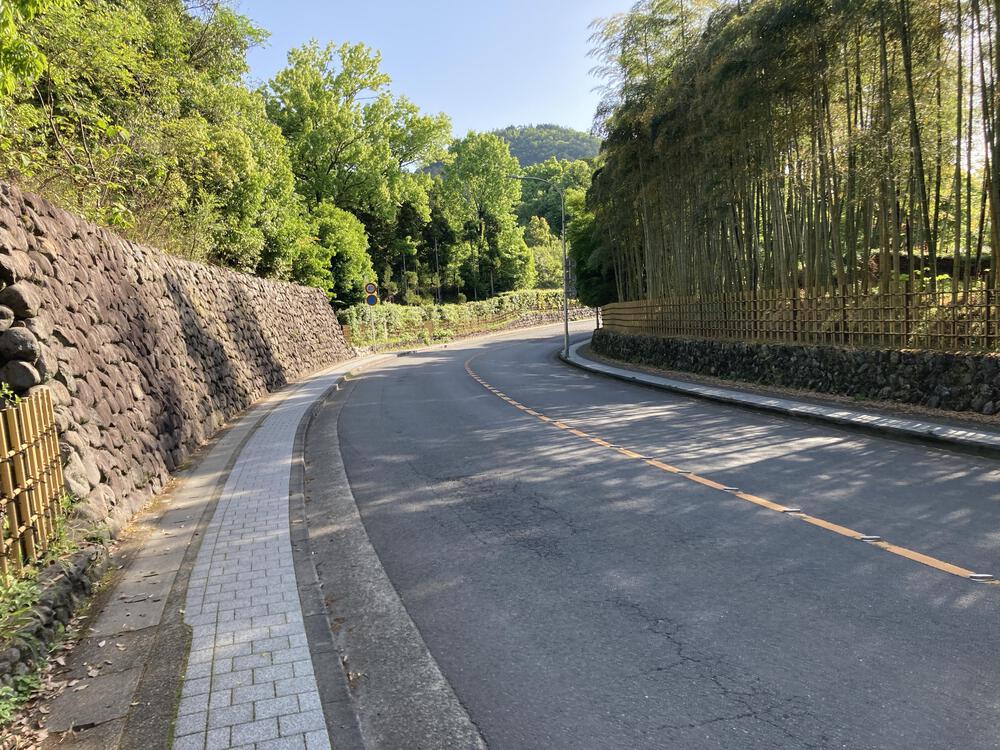 早起きは三文の徳♪京都きぬかけの路（嵐山～金閣寺～北野白梅町）の写真9